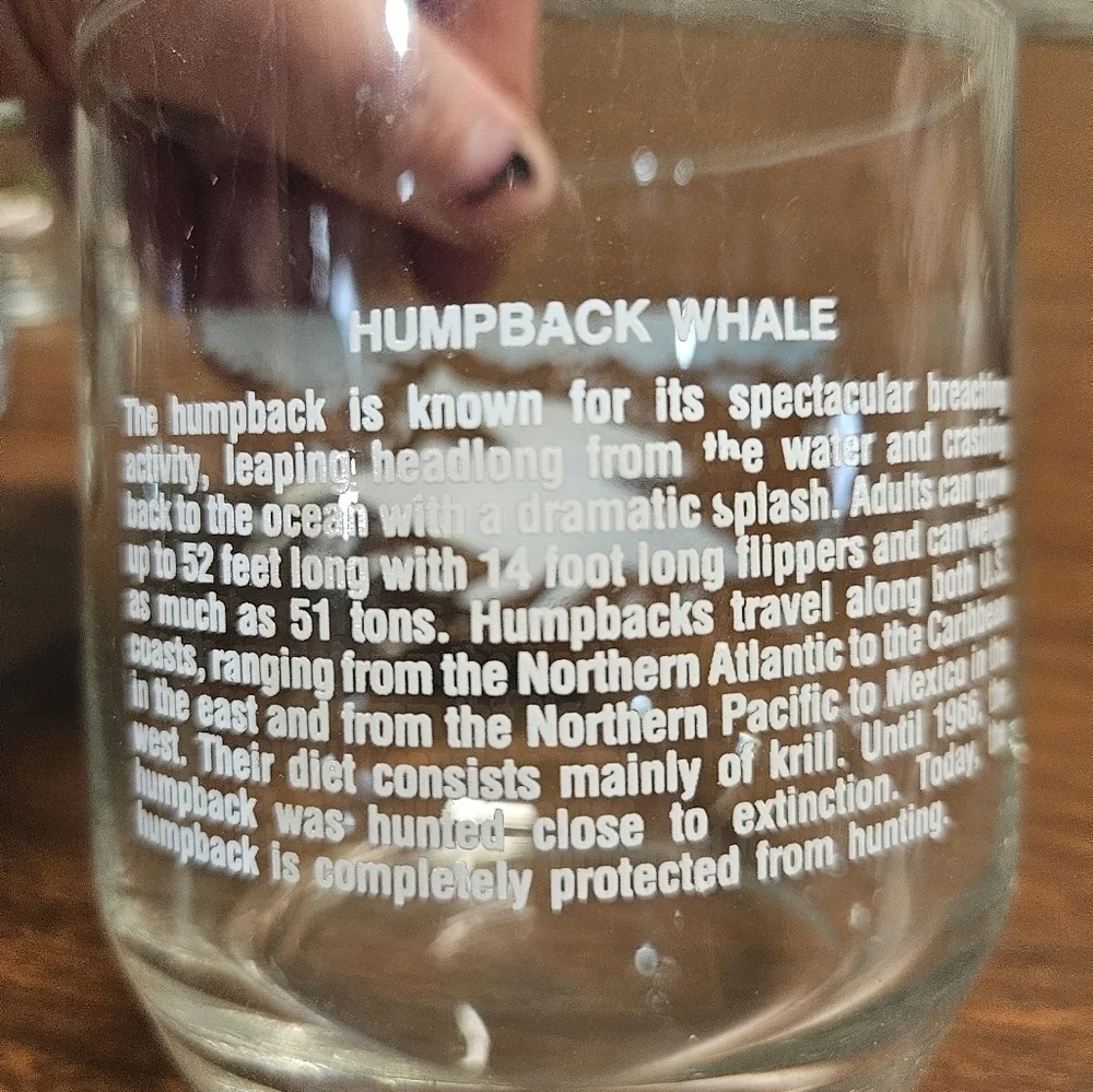 Wildlife Glasses